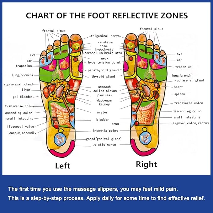 Foot Reflex Reflexology Slippers | Acupressure Foot Massage Slippers | Reflexology Sandals for Feet | Rotating Acupuncture Therapy | Improve Blood Circulation | Relaxation Gifts for Mom Dad