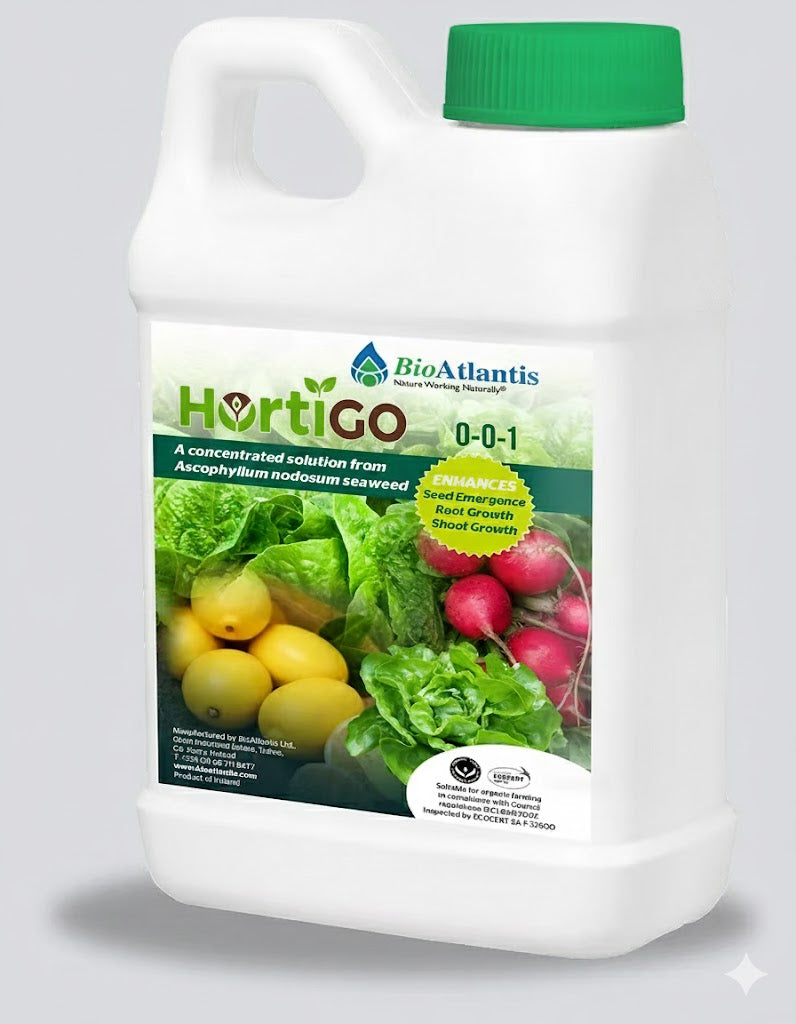 Natural Nuts Powder for Daily Nutrition | 100% Natural, Sugar Free | 240g